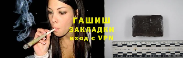 прущие грибы Касимов