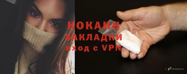 прущие грибы Касимов