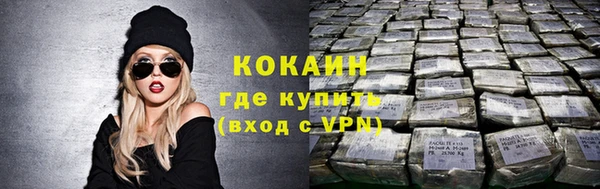 прущие грибы Касимов