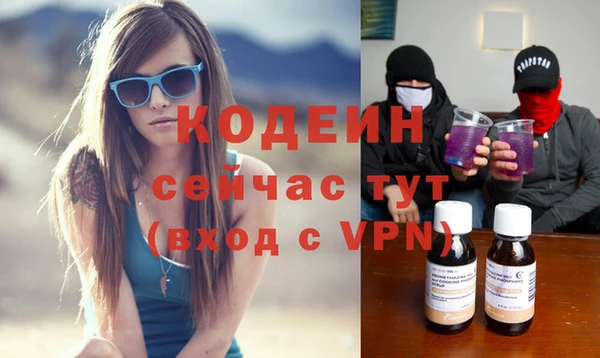 прущие грибы Касимов